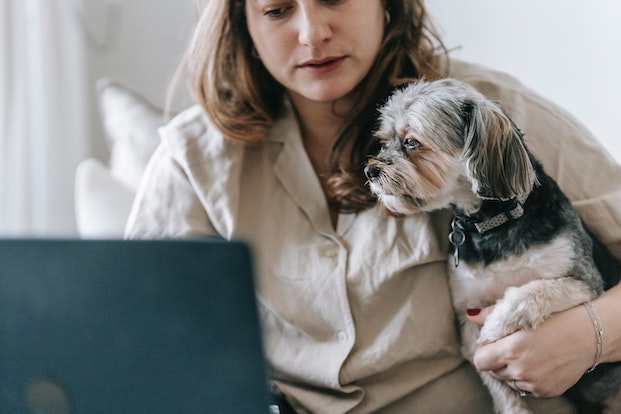Woman and dog looking at laptop